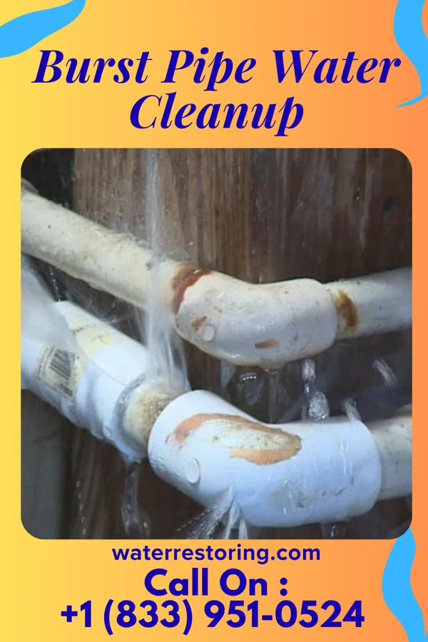 Burst Pipe Water Cleanup in Brandon, MT