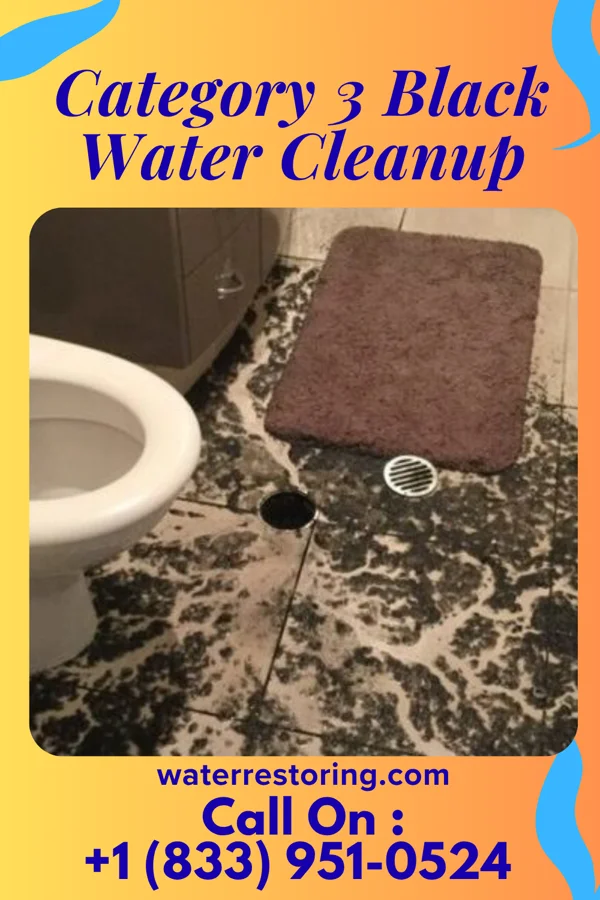 Category 3 Black Water Cleanup in Brandon, MT