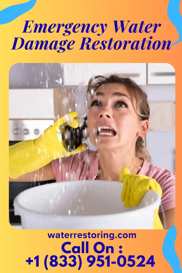 Emergency Water Damage Restoration in Brandon, MT